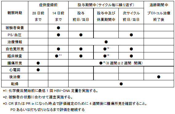 スケジュール